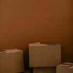 5-Ply Export Cartons (100 pcs)